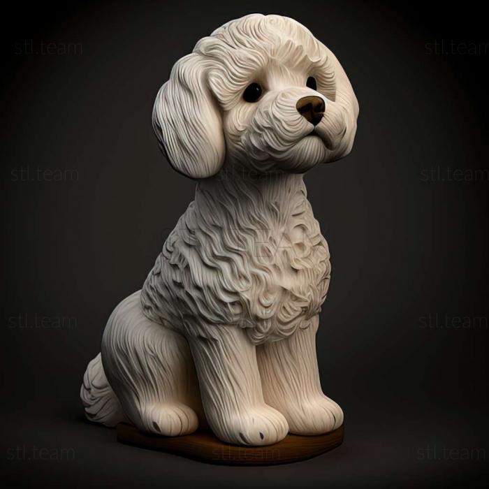 3D model Bichon frise dog (STL)